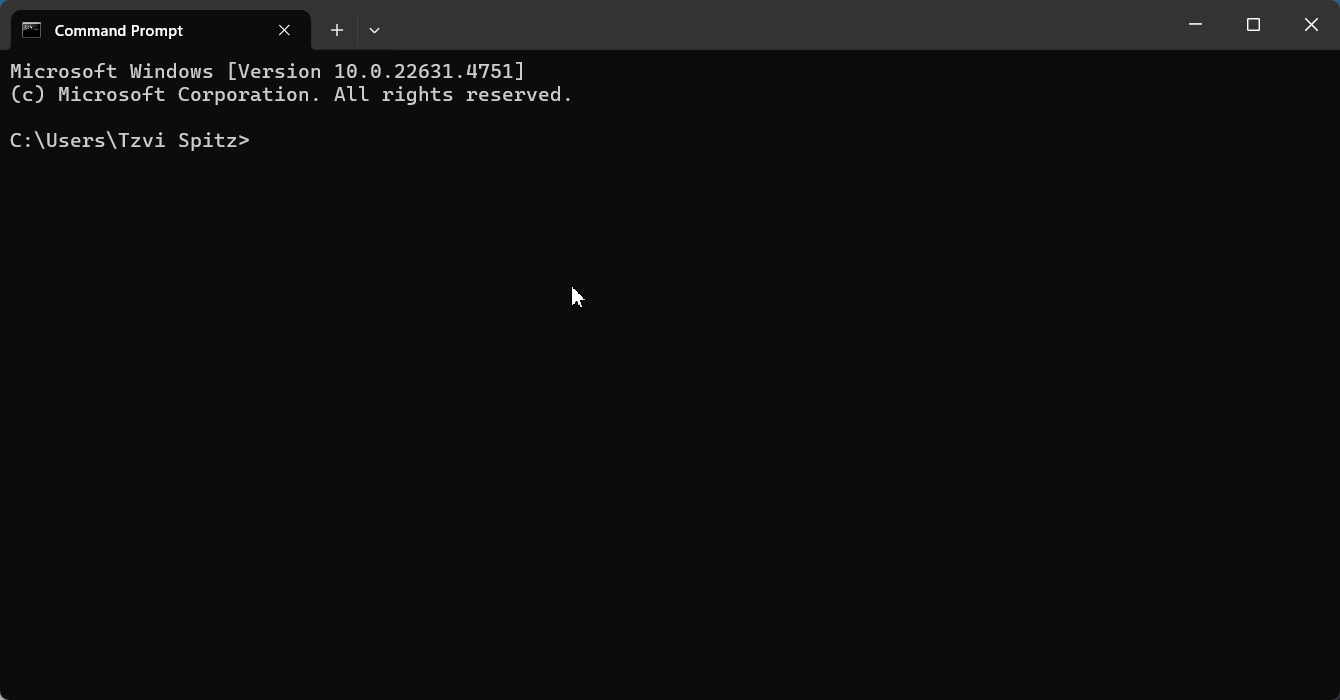 ipconfig /all output in Windows Terminal